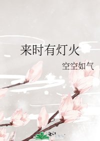 來時有燈火