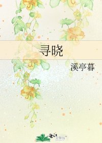 寻晓