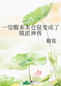 一覺醒來本倉鼠變成了鎮派神獸