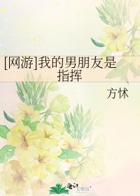 [網遊]我的男朋友是指揮